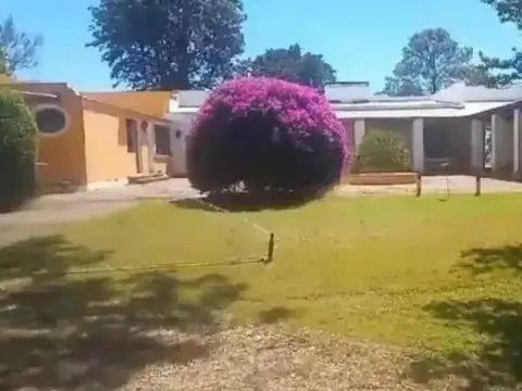 Campo a tranquera cerrada en Victoria
