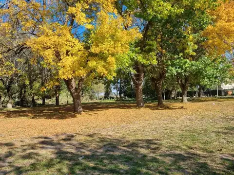 Terreno en Venta en Pilar, USD 14.900