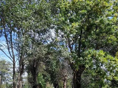 Terreno en Venta 20  mts Fondo