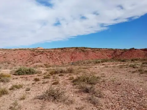 EN VENTA LOTE 9992 M² VACA MUERTA - SENILLOSA