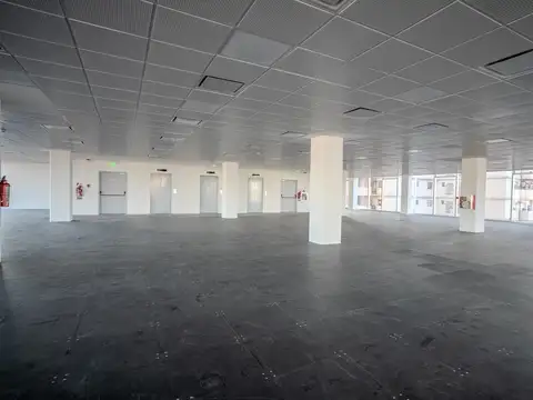 Oficina en Alquiler A Estrenar