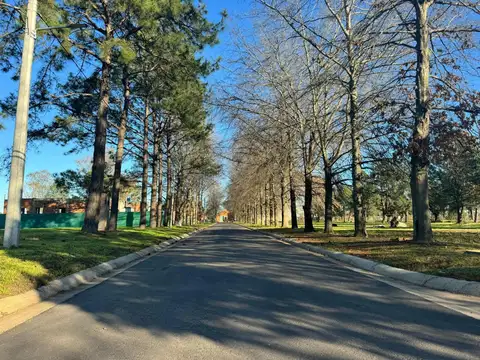 Terreno en Venta 31  mts Fondo