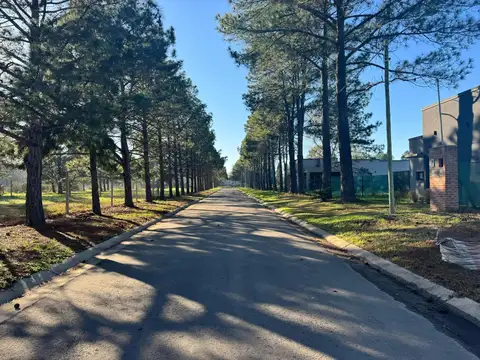 Terreno en Venta 12  mts Frente