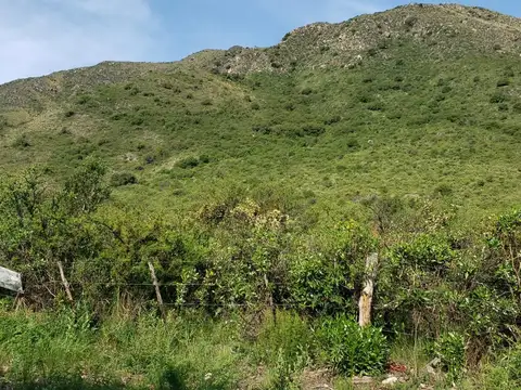 Fracción 15.000 mts en venta en Villa Elena - Permuta