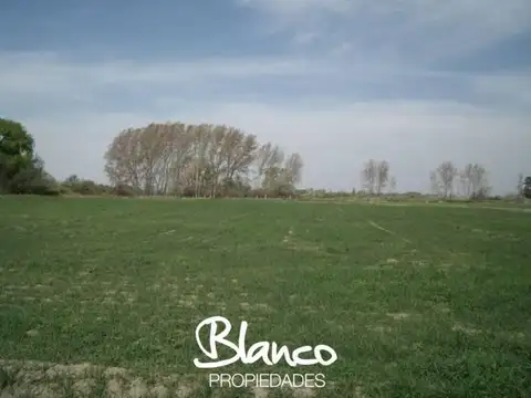 COSTA DE RÍO - GENERAL CONESA - 100