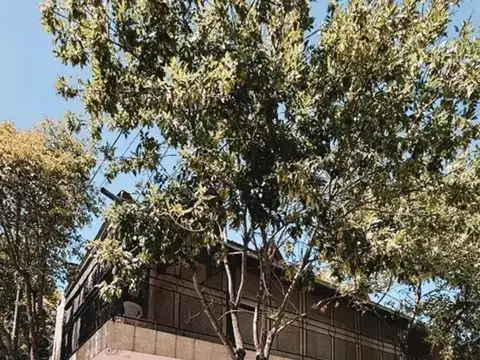 Depto Tipo Casa en Venta de 3 dormitorios