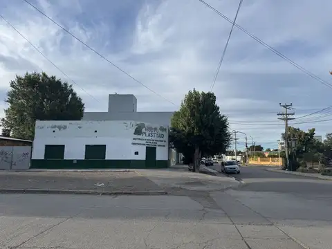 CRISTÓBAL COLÓN 100