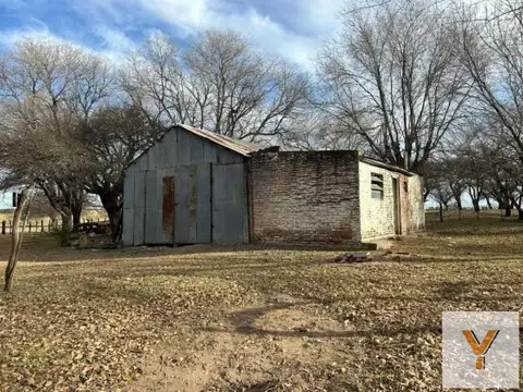 Campo en Venta en General Acha, Utracán