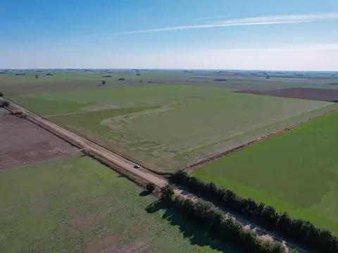Campo en Venta en Acebal 54 h Agricolas