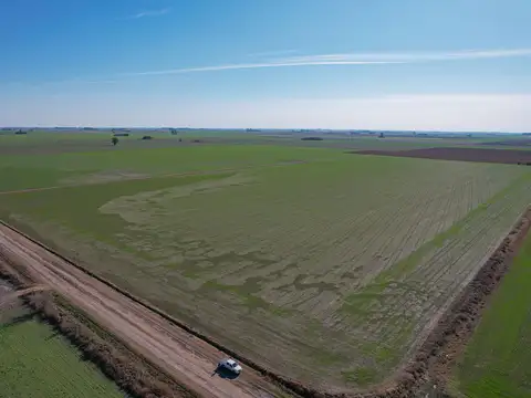 Acebal 54 hectáreas