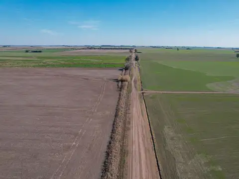 Campo en Venta en Acebal 54 h Agricolas