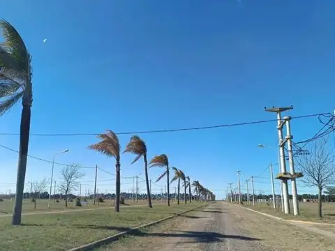 Tierra de Sueños - Casilda