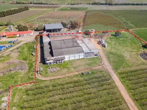 Galpon en Venta 51 años