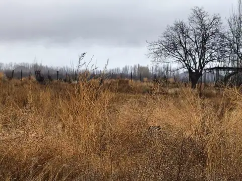 Terreno en Venta en San Jose de Tupungato, Tupungato