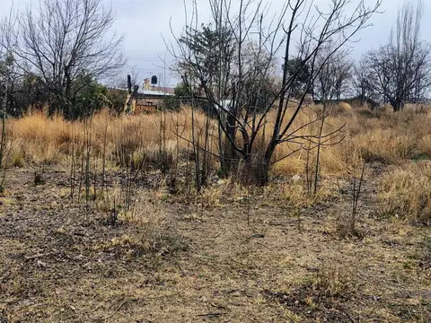 Terreno en Venta en San José de Tupungato, USD 120.000