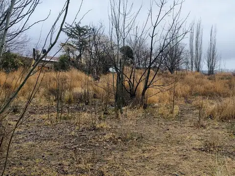 VENTA DE TERRENO UBICADO EN TUPUNGATO MENDOZA