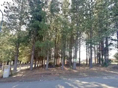 Terreno en Venta de 420,0 m2