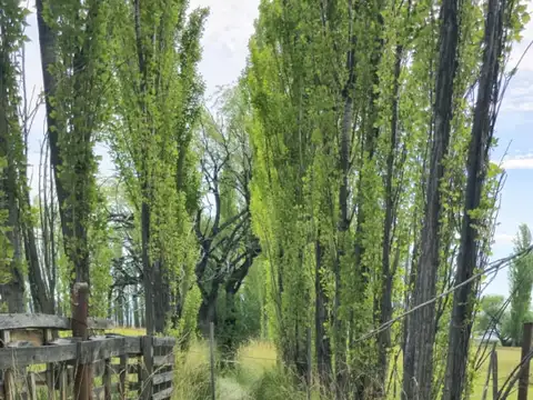 Casa en Venta 46 años