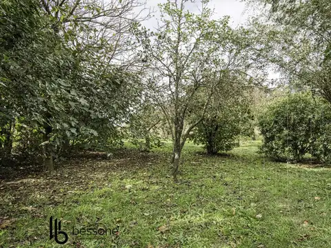 Campo en Jorge Newbery