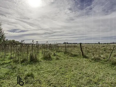 Campo en Jorge Newbery