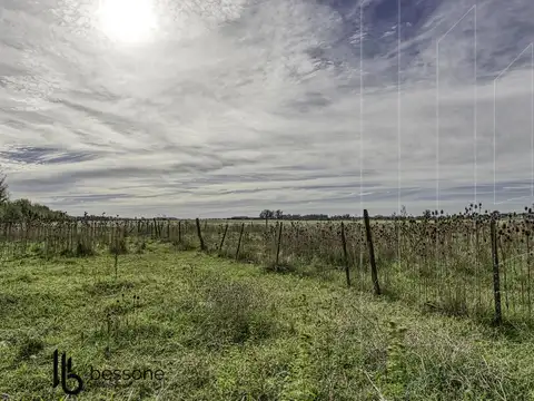 San Francisco al 500