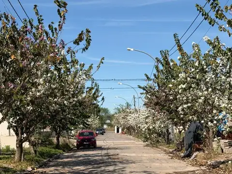Terreno en Venta en Barrio Norte, USD 26.500