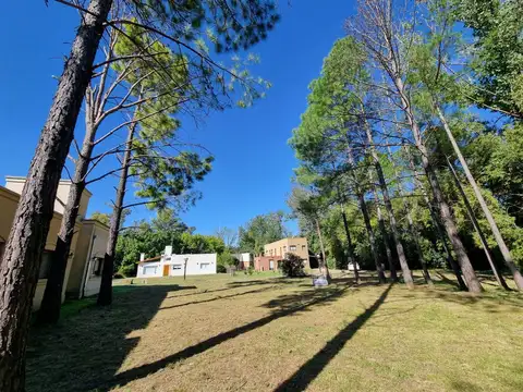Terreno en Venta de 973,0 m2