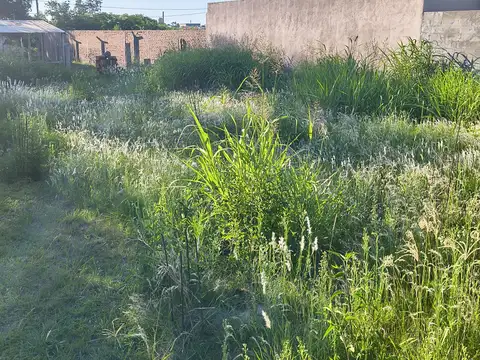 Terreno en Venta en Colonia Ensayo, USD 7.500