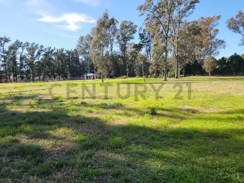 Terreno en Venta en Villa Elvira, USD 30.000
