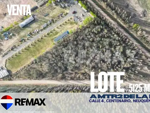 LOTE 5125 MTR2 EN VENTA EN CALLE 4, CENTENARIO