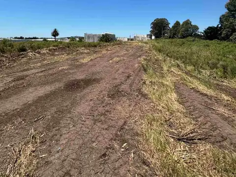 Terreno en Venta en Paso De La Arena, USD 2.980.000