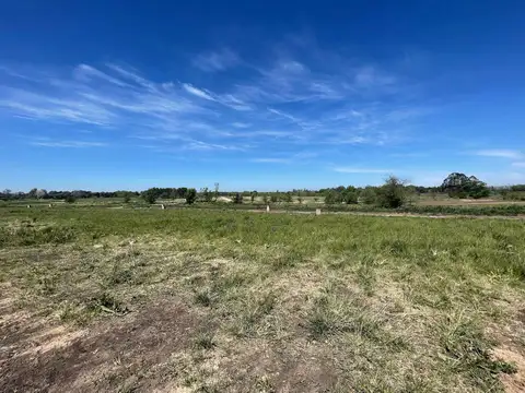 Panamericana km 56,5