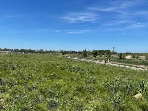 Lote en Tilbury 1 Pilara