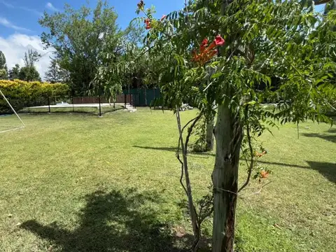 Ruta Panamericana 100