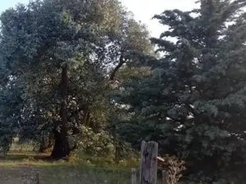 Juana Basso & Hipólito Yrigoyen, Carmen De Areco, Provincia De Buenos Aires, Argentina, Carmen de Areco, Carmen de Areco, Buenos Aires Interioro Yrigoyen, Carmen De Areco, Provincia De Buenos Aires, A
