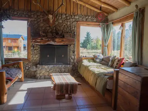 Consultar dirección