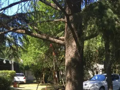 Quinta en Venta en 20 de Junio, USD 135.000