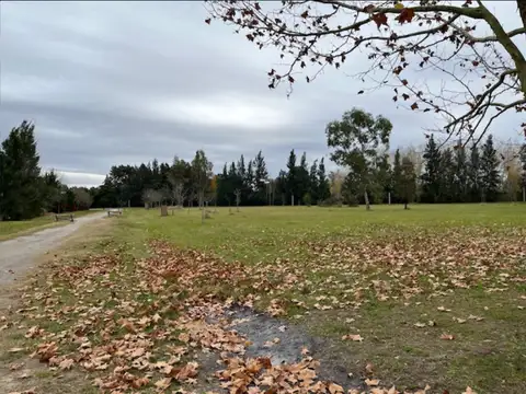 TERRENOS/FRACCIONES/LOTEOS - TERRENOS - CAPILLA DEL SEÑOR