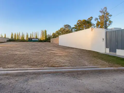 VENTA LOTE SAN MARTIN MENDOZA