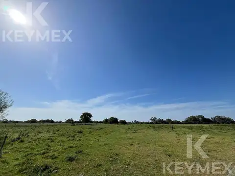 Chacra en Magdalena-Atalaya