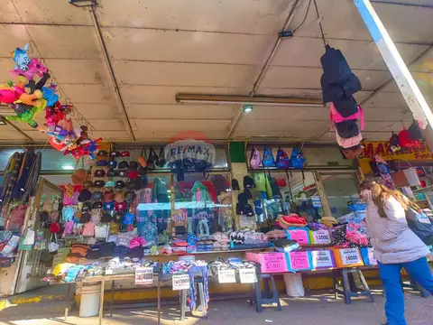 Alberdi e/ Boccuzzi y Juan Vasquez 3300