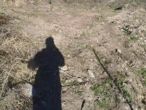 ESTANCIA VIEJA