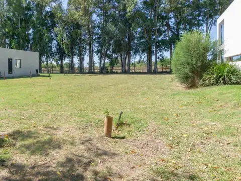 Terreno en Venta de 800,0 m2