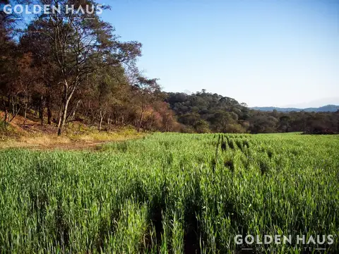 Metan, Salta.