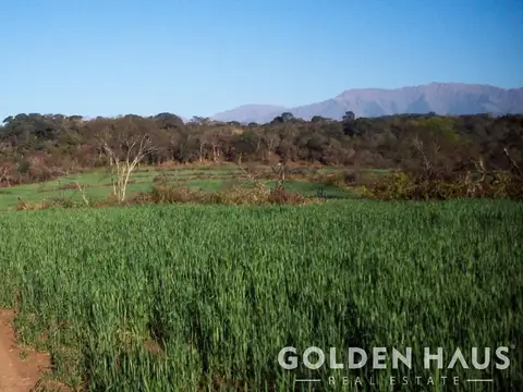 Campo en  Campo Mixto - 7200 Has - Metan, Salta - Argentina.