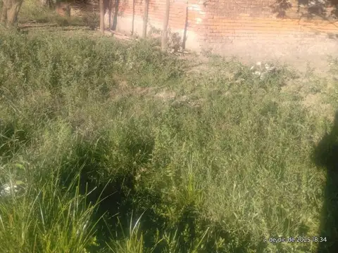 CAMPO GANADERO - VILLA GUILLERMINA