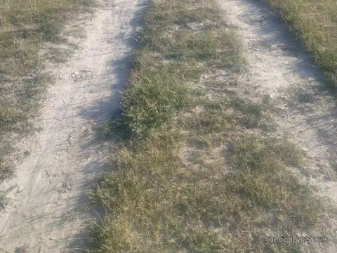 CAMPO GANADERO - VILLA GUILLERMINA