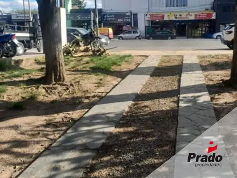 camino centenario 5000