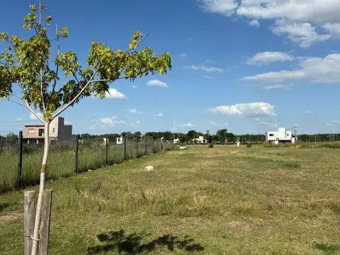 Terreno en EcoTierra