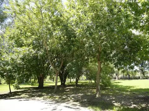 Terreno en Venta en Grand Bell, USD 258.000